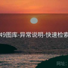 49图库-异常说明-快速检索