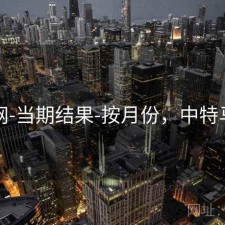 中特网-当期结果-按月份，中特马上找