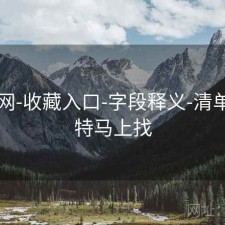 中特网-收藏入口-字段释义-清单，中特马上找