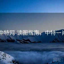 中特网-读图指南，中特一肖