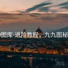 99图库-进阶教程，九九图秘诀